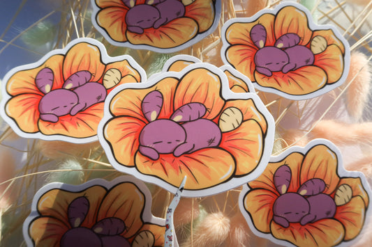 Bora Gogu 'Ilima Hibiscus Flower 3" Glossy Vinyl Sticker Oahu Collection